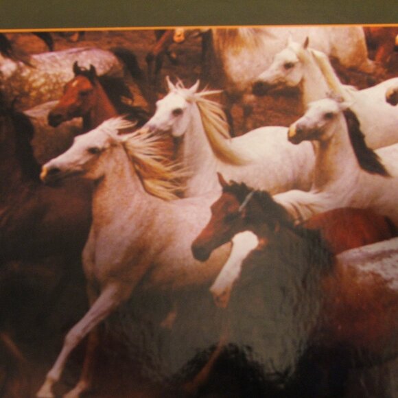 Sure-Lox Wild and Free Rush Hour Wild Horses 750 Piece Jigsaw (P62/63) - Picture 2 of 2